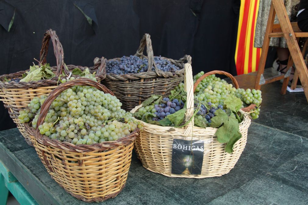 Setembre gastronòmic a Òdena: Fira de la Vinyala, Festa de la Verema i Fira de la Cervesa Artesana de l’Espelt