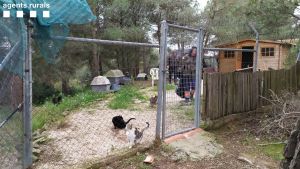 Els Agents Rurals col·laboren en l’alimentació dels animals que estan a la protectora APAN d’Òdena