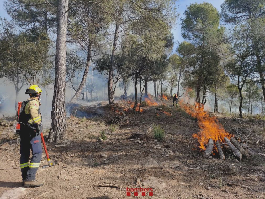 Cremes controlades dels bombers