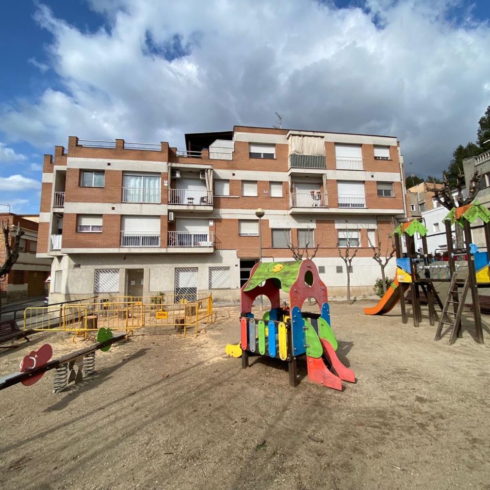 Tala de pins a la plaça sant pere