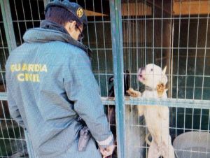 Seprona denuncia una olescan per maltractar animals a les gosseres