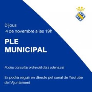 Avui, ple municipal ordinari