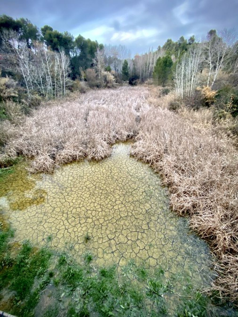 Torrent del Raval al seu pas per Can Macià